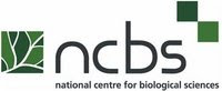 NCBS Logo