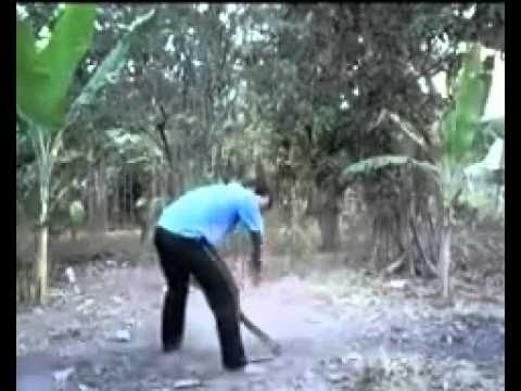 Fenomena BERSIN Keluar Binatang (Just Joke)