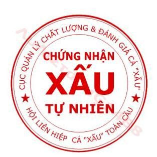 avatar chung nhan con dau By VnTim