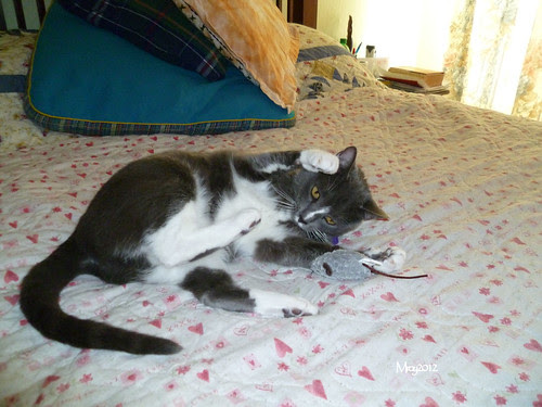2011_07_03 021