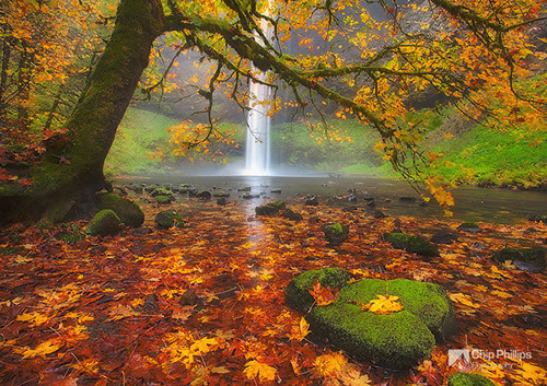 Silver-Falls-Autumn-M