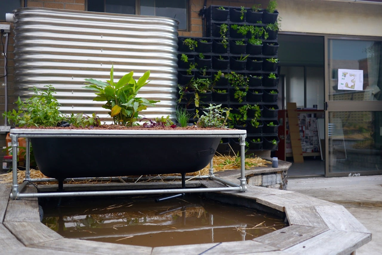 making a diy bathtub aquaponics system - milkwood