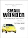 SMALL WONDER the making of the nano