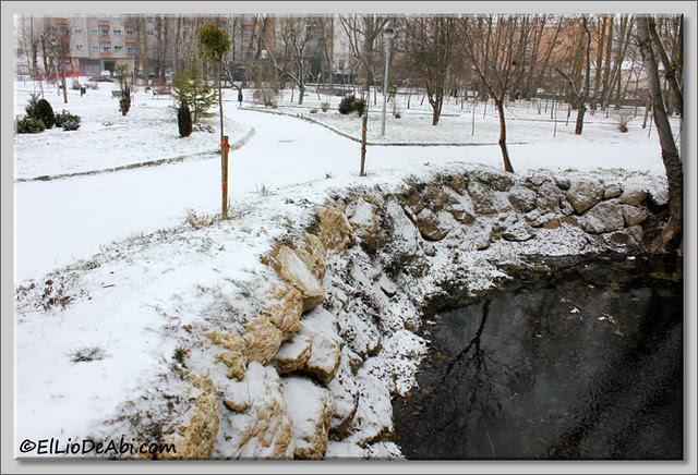 8 IMG_5178 2