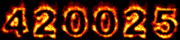 internet traffic statistics