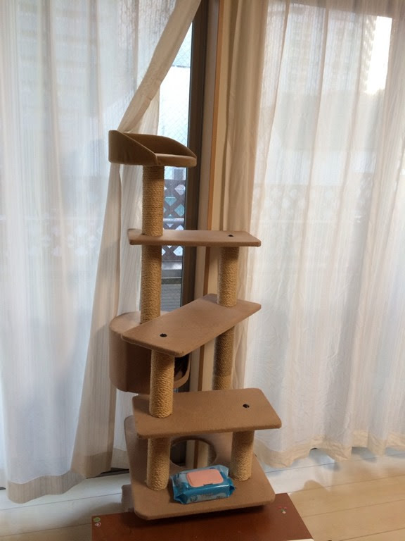 Diyで解決 猫の粗相にキャットタワー改造で応戦 の巻 遊びと仕事のグラデーション By Yu Endo