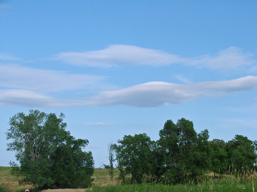 DSC03084_2