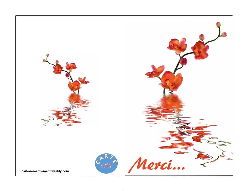 Carte De Remerciement Journee A Imprimer Gratuite Cartes De Remerciement A Imprimer Gratuitement