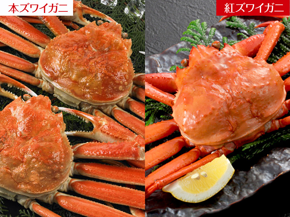 ズワイガニ 激安 送料無料 札幌 海産物卸