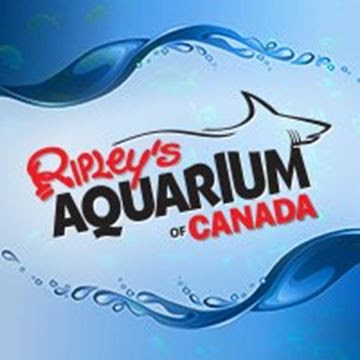 Ripley's Aquarium opens! on October 16,2013 - Ripleys Facebook1   Gallery