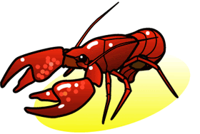 ザリガニ釣り