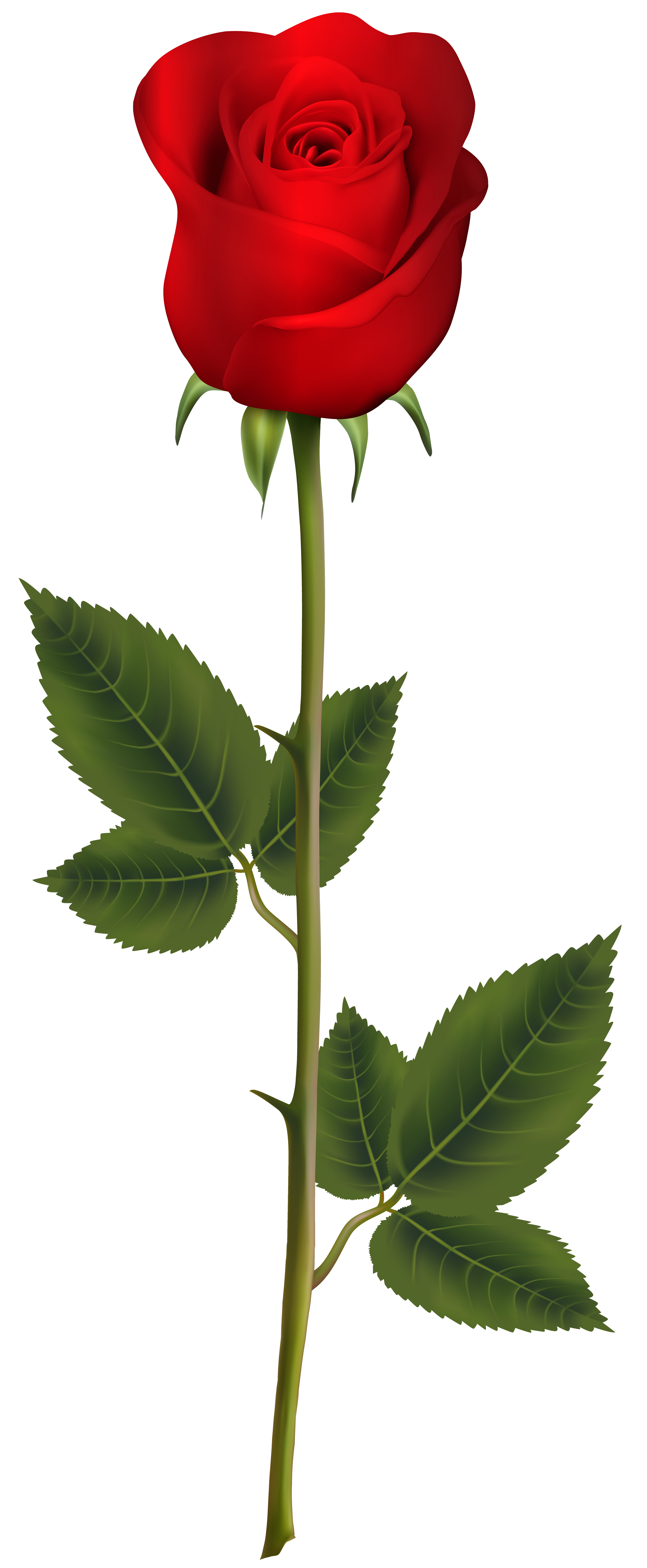 Free Free 78 Transparent Background Stem Sunflower Clipart SVG PNG EPS DXF File