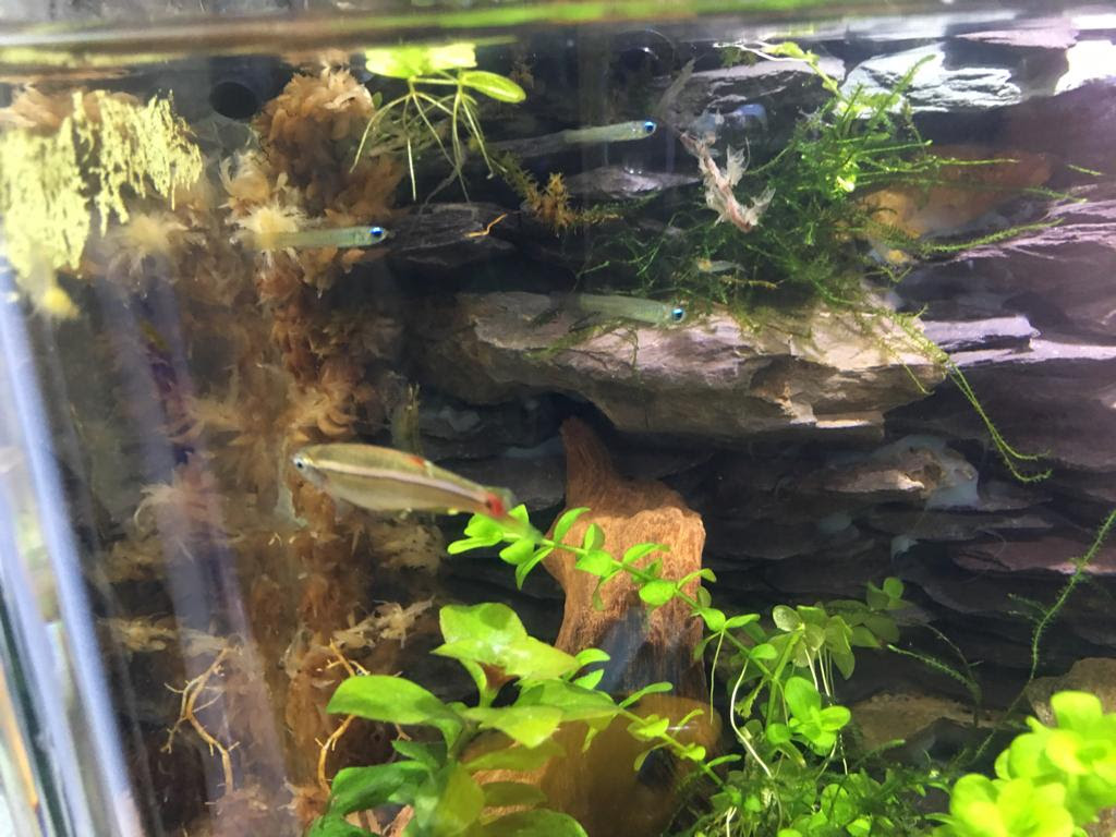 アクアライン アクアルバム