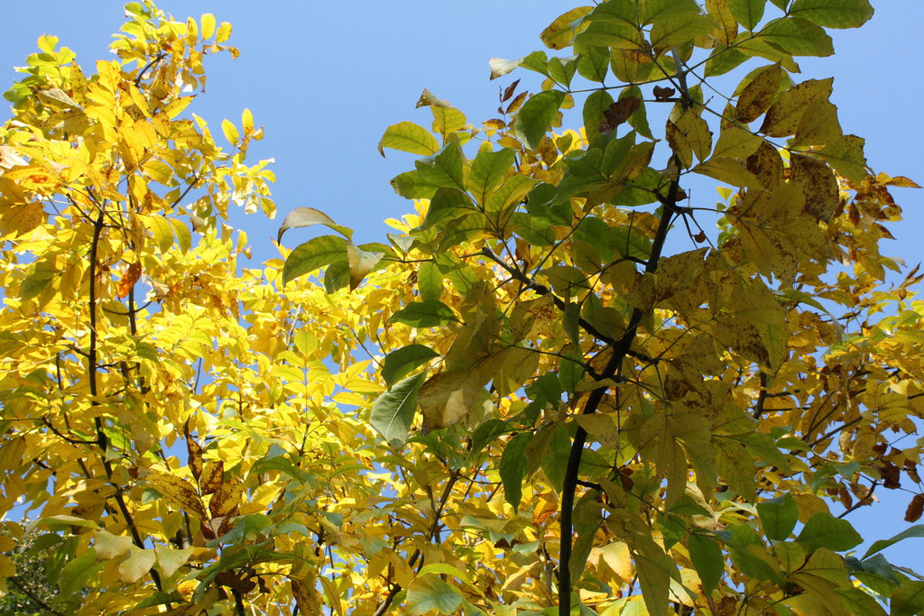 Farben tanken ...