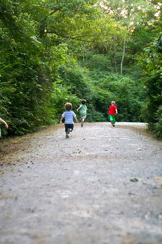 Lightening Bug Walk