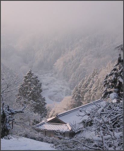 05 neighbours house in pink