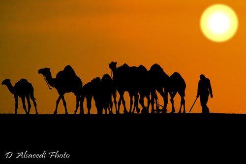Imagination of the Middle East !!