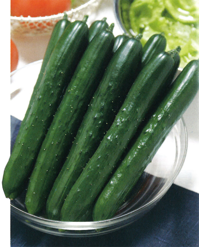 湧泉小林種苗のブログ