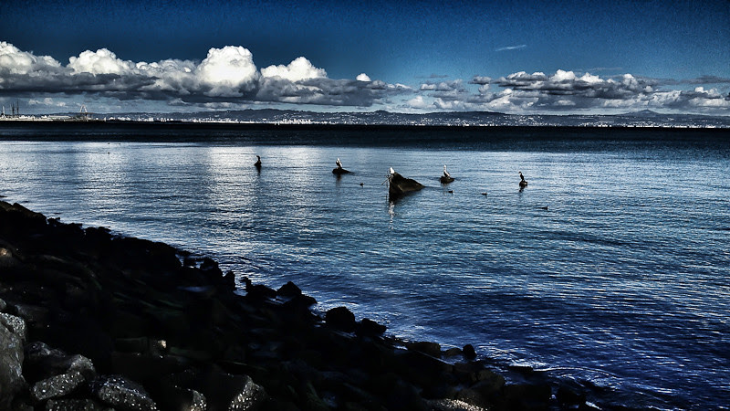 Beautiful Day by the Bay