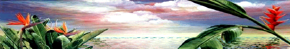 Clouds over the Ocean Animated Wall