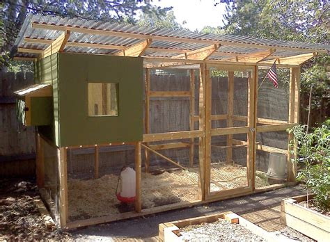 virtual chicken coop  krewe  coops  coop