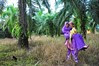 Your Big Day