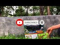 รีวิวของเล่นมาใหม่ น้องควาย รีวิวของเล่น EP51 I Pook555 TV I Review of new toys, Nong Black Buffalo