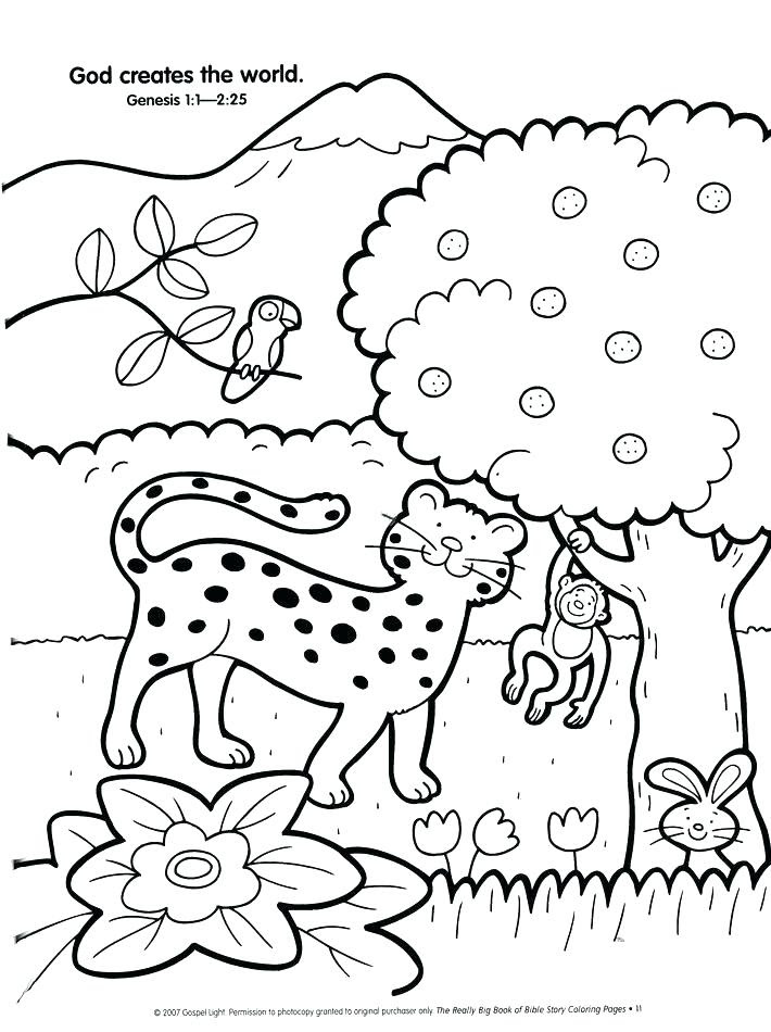 Creation Day 5 Coloring Pages at GetColorings.com | Free ...