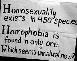 Citation homophobie