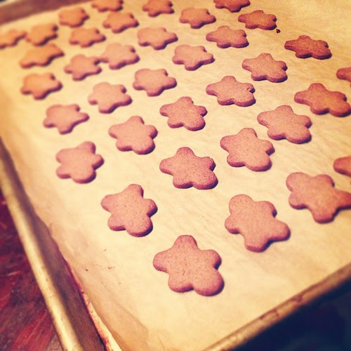 Little guys all done