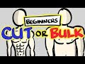 CUTTING vs BULKING – Which One FIRST For Beginners?