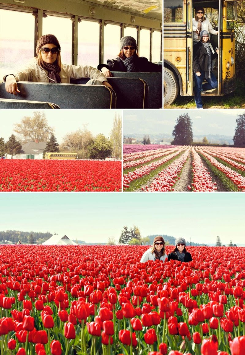Field Trip