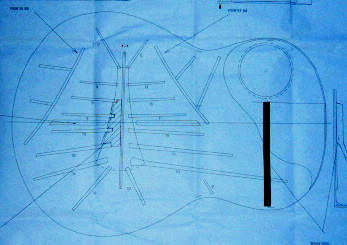 The Diversity of Modern Classical Guitar Tone and Volume due to Plate 