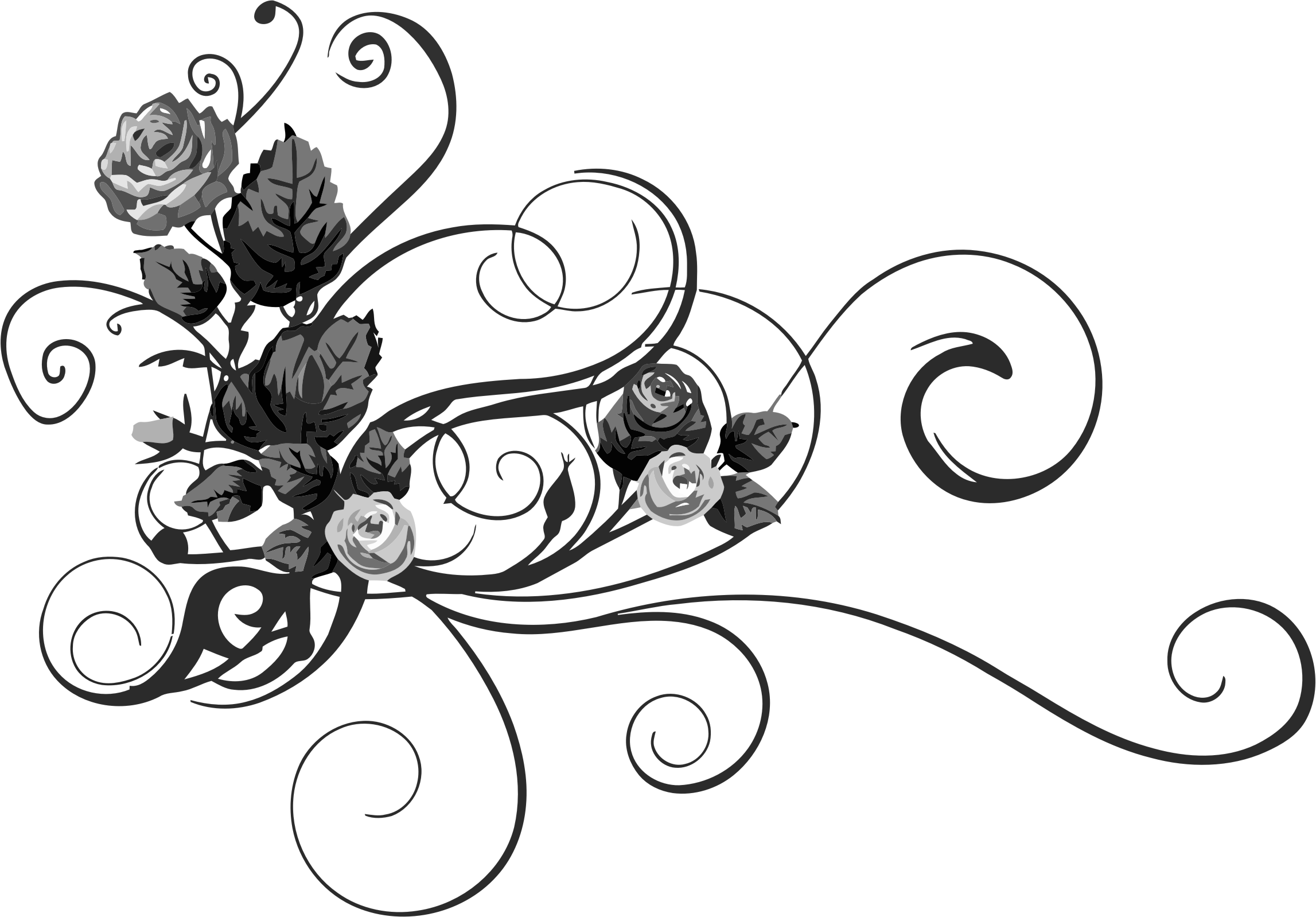 Download Free Floral Flourish Cliparts, Download Free Clip Art, Free Clip Art on Clipart Library