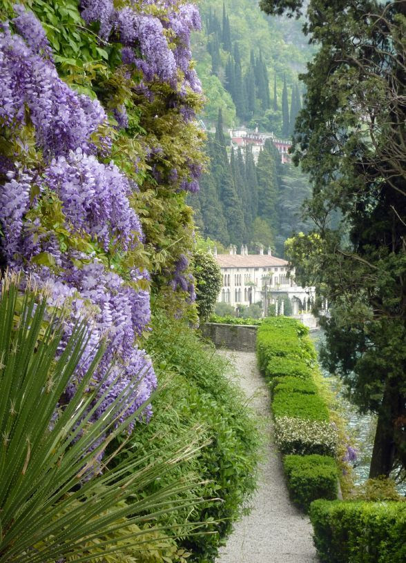 Villa Monastero gard Flowers Garden Love