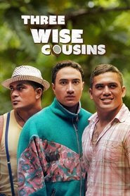 Three Wise Cousins 2016 Streaming vf hd