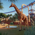 Planet Zoo Download Pc / E3 2019 | Planet Zoo release date and first gameplay ... : From the developers of planet coaster and zoo tycoon comes the ultimate zoo sim, featuring authentic living animals who think, feel and explore the world you create around them.