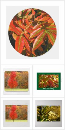 Autumn Beauty