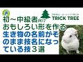 √完了しました！ ウサギ 名前 面白い 325053