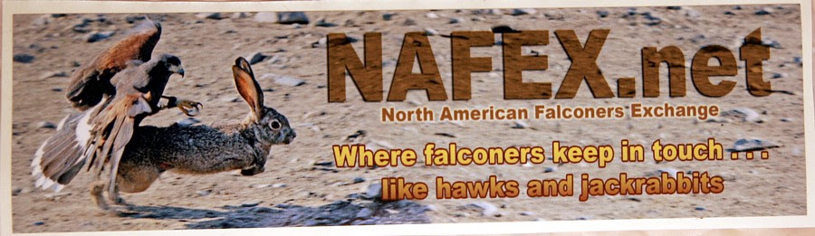 Nafex.Net