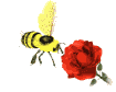 http://www.greatbluemarble.com/_borders/bee_flower_md_wht.gif