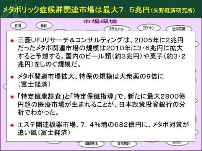 メタボ関連市場.jpg