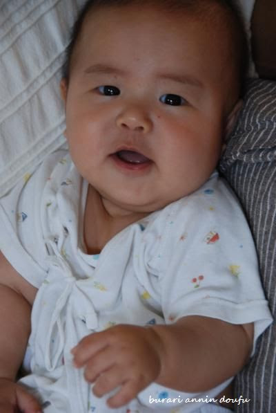とっちゃん坊や ぶらり杏仁豆腐 育児 日常diary