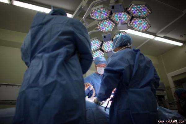 Đột phá trong việc tạo ra thận sinh học nhân tạo