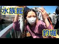 [10000印刷√] 八景島 シー パラダイス 魚釣り 737477-八景島シーパラダイス 魚釣り