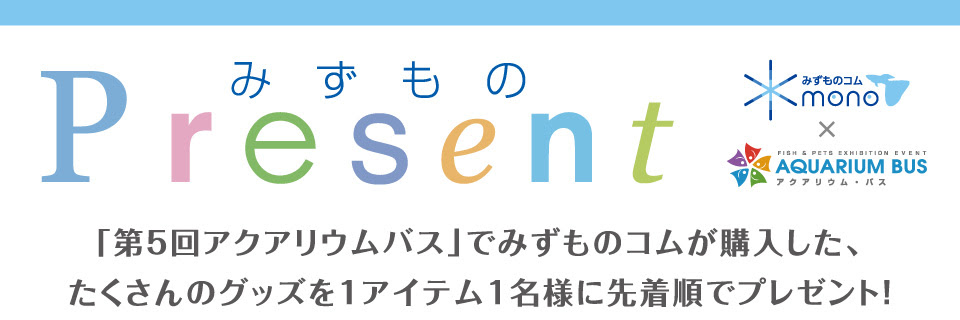 みずものコム プレゼント企画 アクアリウムバスで購入した商品を先着順でプレゼント リリース お知らせ 熱帯魚のことなら みずものコム