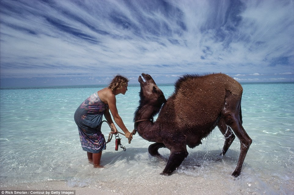 After National Geographic was published  in 1978, many referred to Robyn Davidson as 'The Camel Lady.' She was also the inspiration behind a painting of the same name by Jean Burke