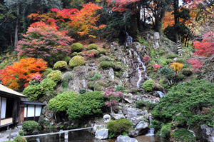 紅葉 奥出雲の秋特集