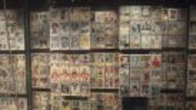 Use “Collection Management Policies” to Curate Your Collectibles