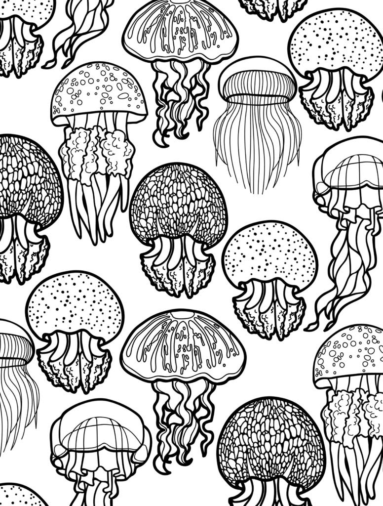 Animal Coloring Pages for Adults - Best Coloring Pages For ...
